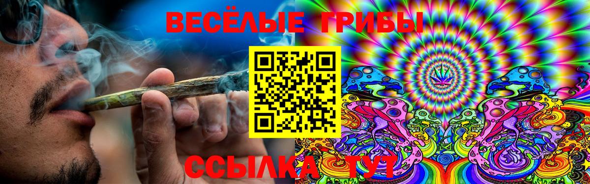 Ноябрьск  Псилоцибиновые грибы MAGIC MUSHROOMS  Вход с VPN  Галлюциногенные грибы Cubensis 